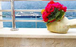 Апартаменты Apartments Jovanovic Котор Апартаменты с 1 спальней-16